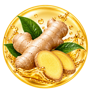 Zingiber Officinale (Ginger)