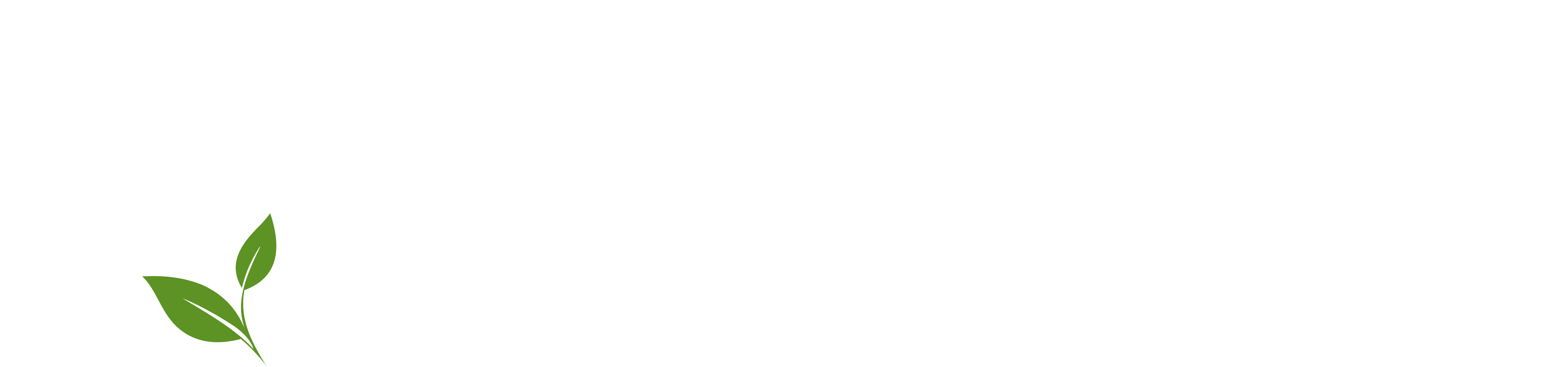 True Family